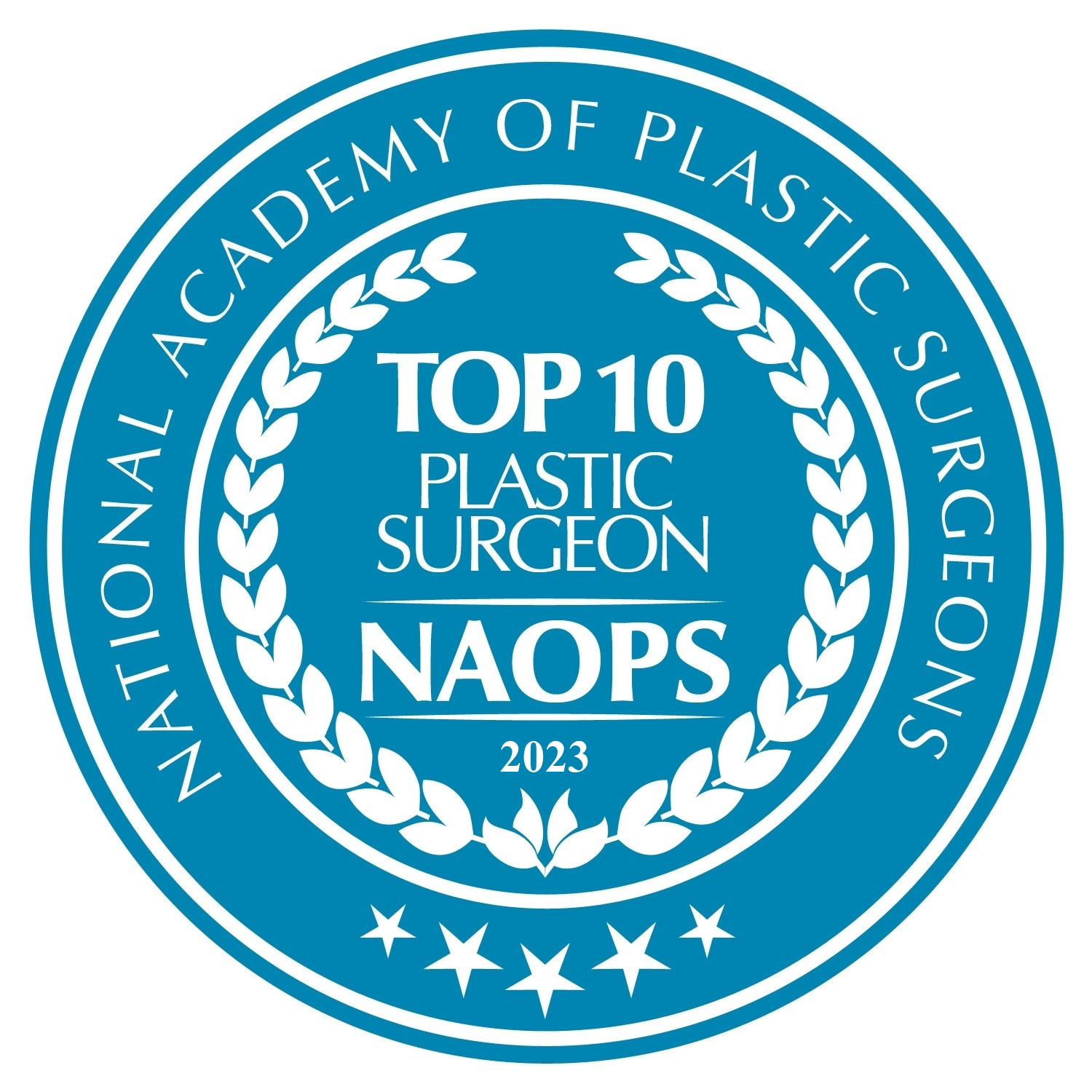 Top 10 Plastic Surgeons 2023 National Academy of Plastic Surgeons